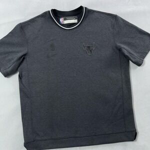 Chicago Bulls Shirt Mens Large‎ Gray NBA Basketball Dri Fit Crewneck Tee Nike